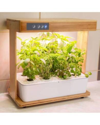 Bioponis - Potager Bamboo-1