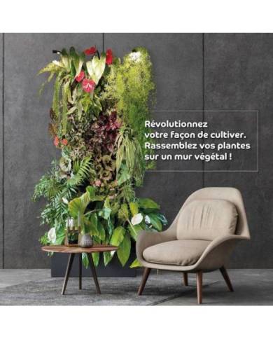 Bioponis - Mur végétalisé avec éclairage - non planté