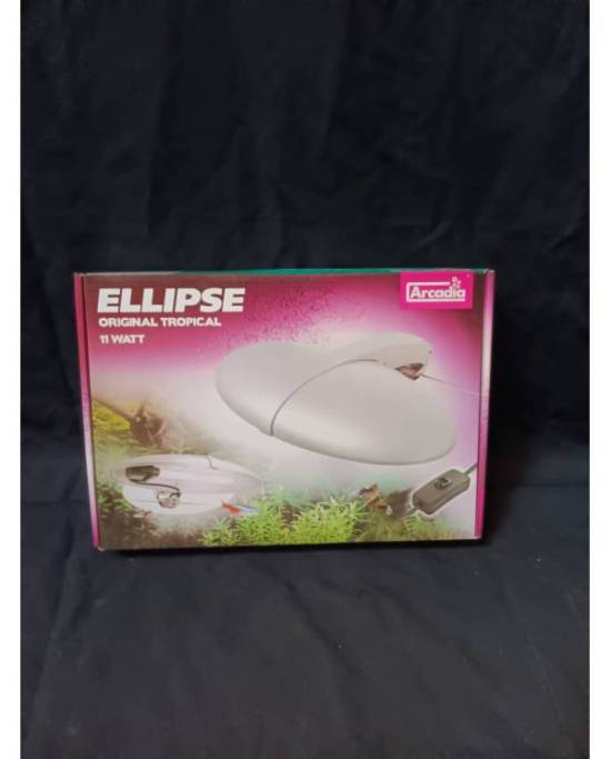 Lot de destockage Aqua n°10