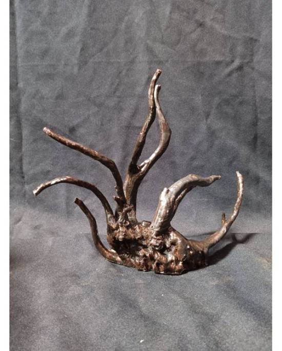 Lot de destockage Aqua n°7