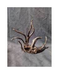 Lot de destockage Aqua n°7