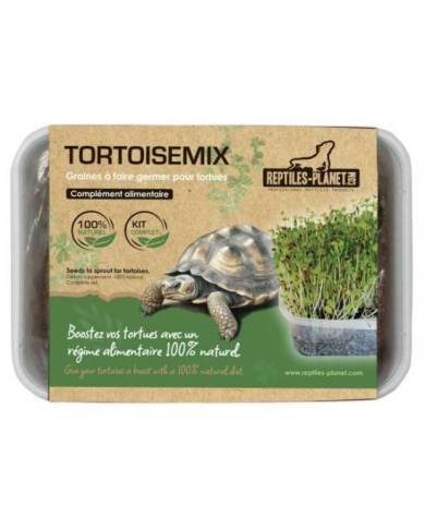 Reptiles Planet - Tortoisemix - Kit de graines à germer