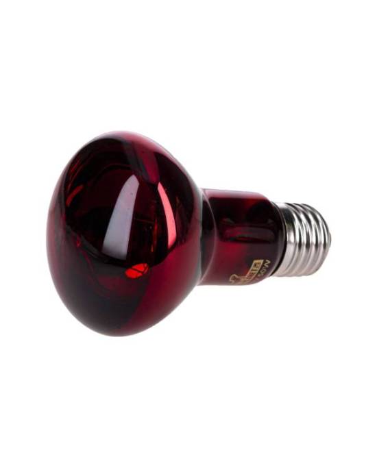 Reptiles Planet - Infrared - 50W
