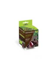 Reptiles Planet - Infrared - 75W
