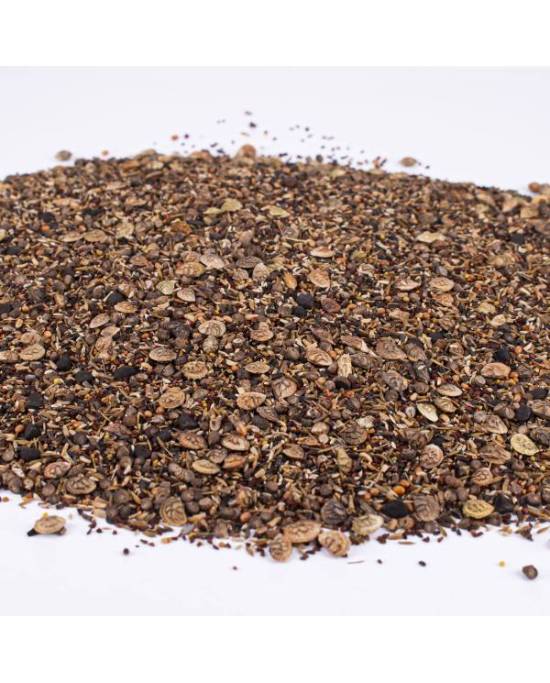 Reptiles Planet - Reptiseeds - graines à germer - 100g