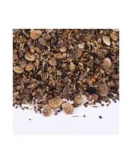 Reptiles Planet - Reptiseeds - graines à germer - 100g