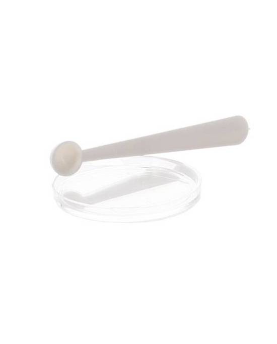 Hobby - Gecko Snack Figue / Prune