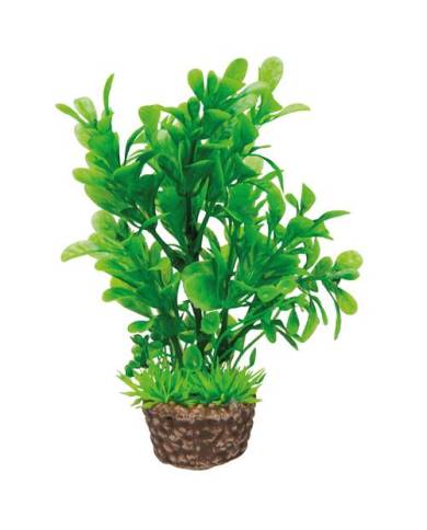 Hobby - Flora Stone 3 - 4x13 cm