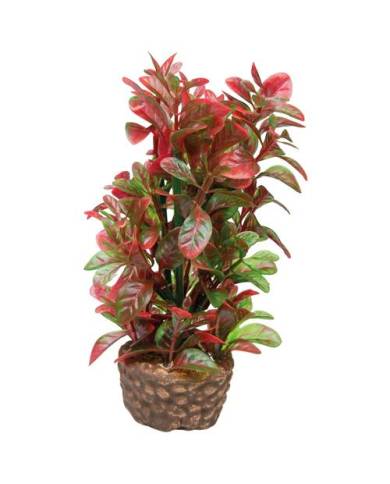 Hobby - Flora Stone 4 - 4x13 cm