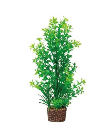 Hobby - Flora Stone 6 - 4x25 cm