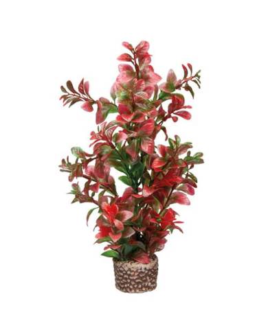 Hobby - Flora Stone 7 - 4x25 cm