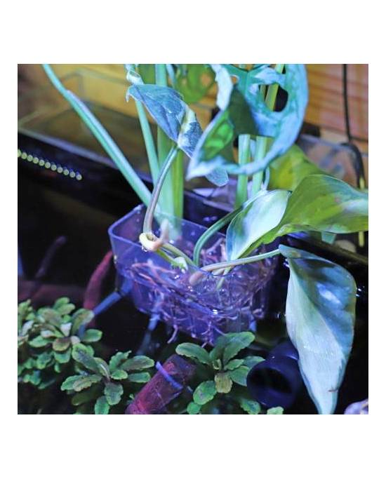 Hobby - Panier de plantation