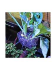 Hobby - Panier de plantation