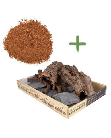 Reptiles Planet - Repti Nature Coco