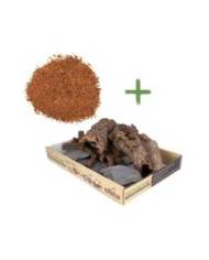 Reptiles Planet - Repti Nature Coco