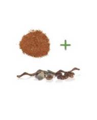 Reptiles Planet - Repti Nature Coco