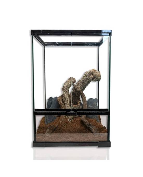 Reptiles Planet - Repti Nature Coco