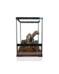 Reptiles Planet - Repti Nature Coco