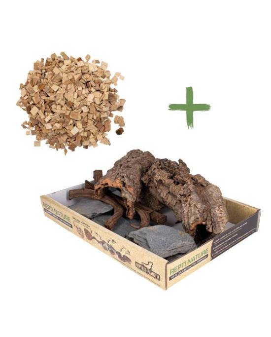 Reptiles Planet - Repti Nature Hêtre
