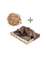 Reptiles Planet - Repti Nature Hêtre