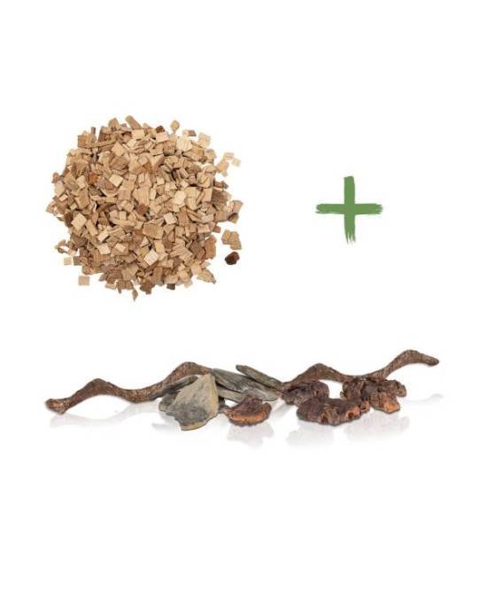 Reptiles Planet - Repti Nature Hêtre