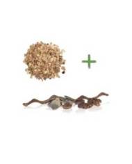 Reptiles Planet - Repti Nature Hêtre