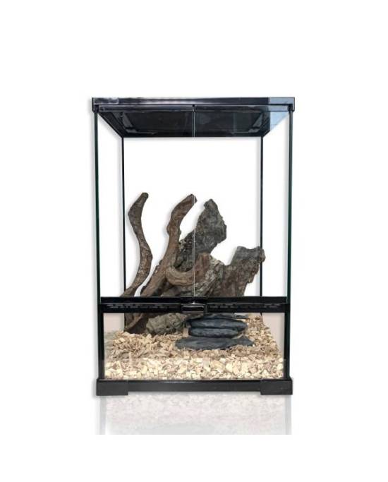 Reptiles Planet - Repti Nature Hêtre