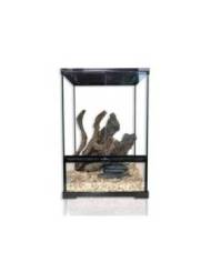 Reptiles Planet - Repti Nature Hêtre