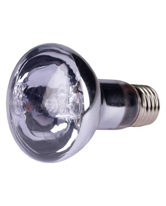 Reptiles Planet - Neo Day Eco 28W