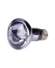 Reptiles Planet - Neo Day Eco 28W