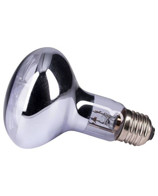 Reptiles Planet - Neo Day Eco 70W