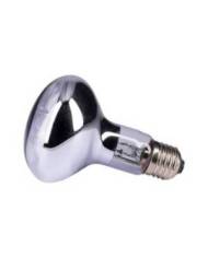 Reptiles Planet - Neo Day Eco 70W