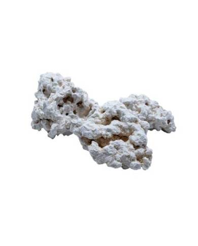Aquavie - Roche corallienne base - 9 à 12 cm - Vrac - au kilo