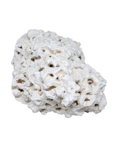 Aquavie - Roche corallienne base - 13 à 20 cm - Vrac - au kilo