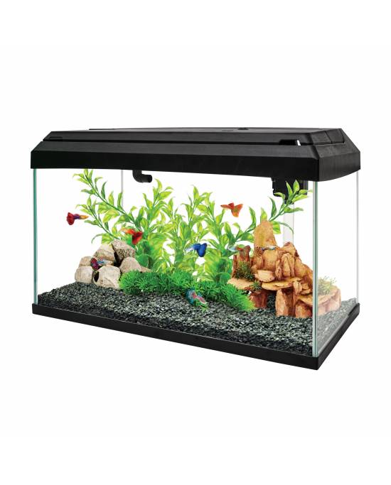 AA Aquarium - Aquarium BASIC 50+ - Black - AA600